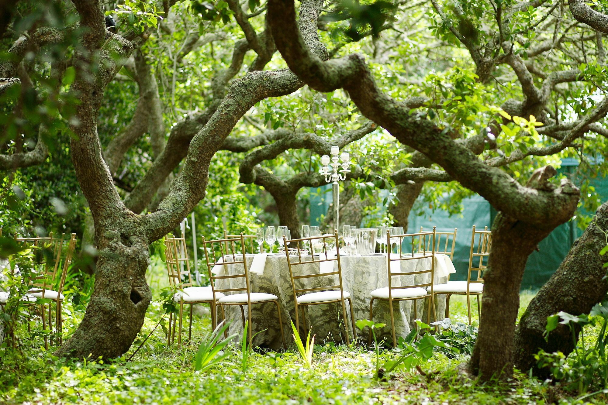 Kennedys Beach Villa เฮอร์มานุส ภายนอก รูปภาพ